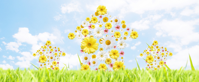 ���Ɍ��ٌ�m�����g��